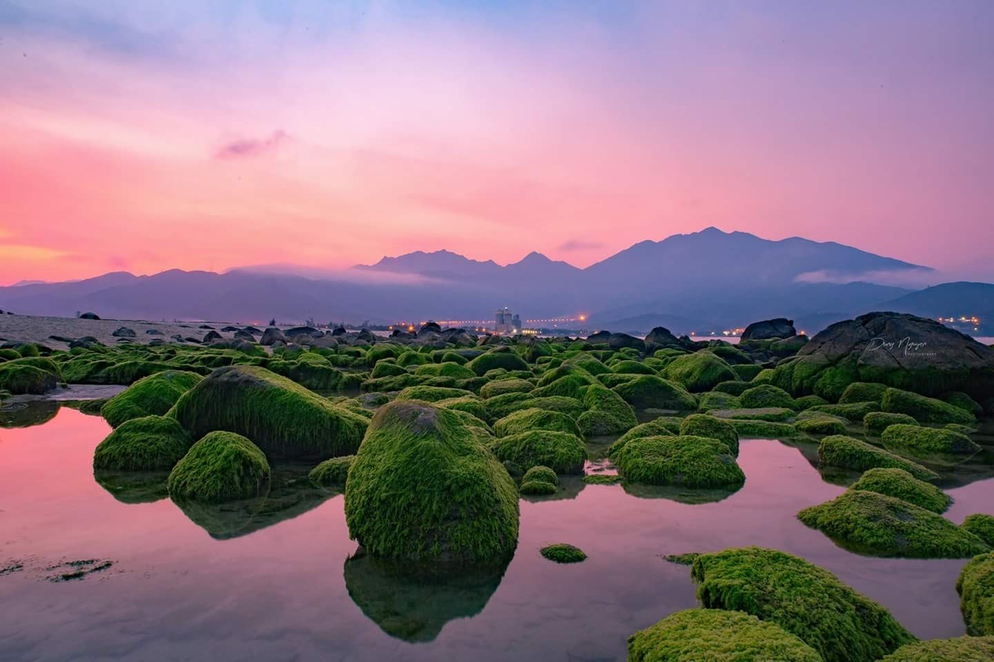 Vẻ đẹp ma mị của Rạn Nam Ô mùa rêu xanh ngay cạnh dự án