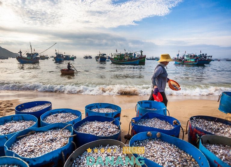 Rạn Nam Ô & Ẩm thực làng chài: Đặc sản thiên nhiên chỉ cư dân Vinhomes Làng Vân mới có