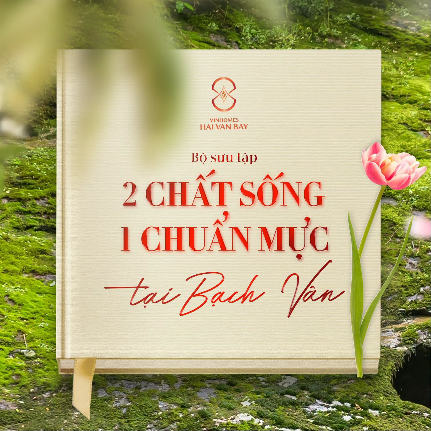 Bộ Sưu Tập Hai Chất Sống Một Chuẩn Mực Tại Bạch Vân Đà Nẵng